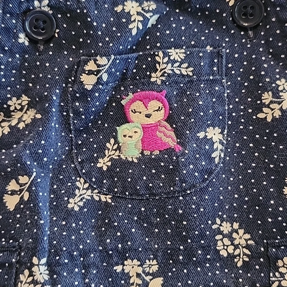 Carter's Owl Overalls